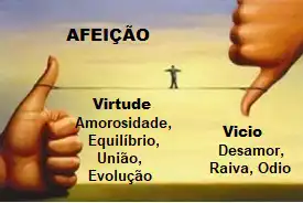 Afeição
